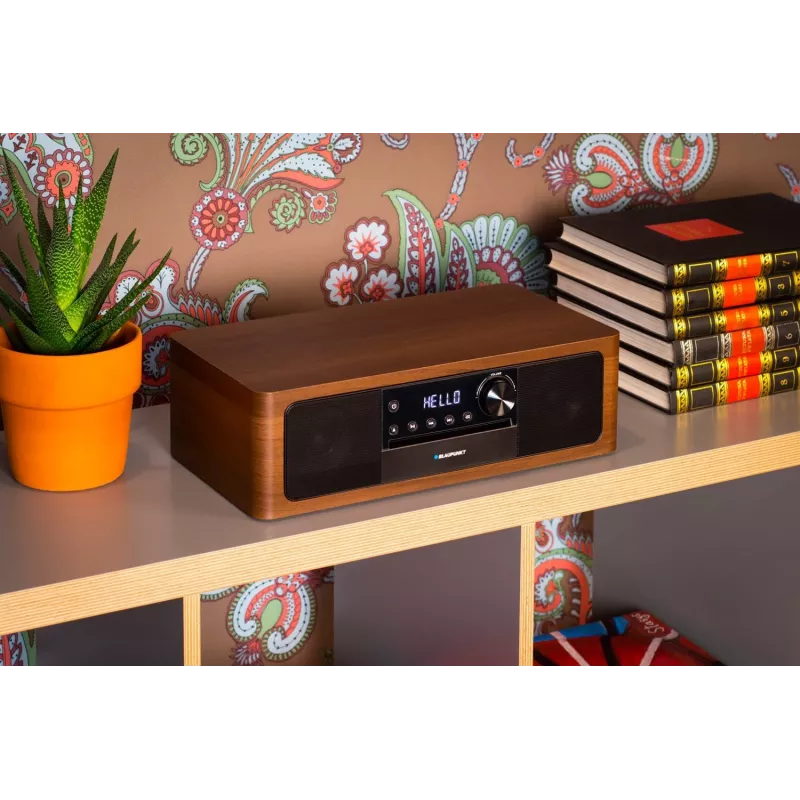 Portable Bluetooth Speaker BLAUPUNKT MS22BT — Wireless portable sound, Bluetooth connectivity
