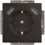 BJ 20 EUCB2USB-885 SCHUKO-/2x USB-Socket Outlet (2CKA002011A6279)