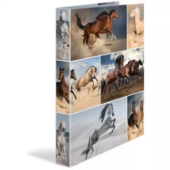 Ring binder HERMA 19429 A4 Multicolour