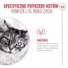 Dry cat food Royal Canin FHN Cat Ageing 15+ 2 kg — for senior cats 15 years and older, poultry flavour, 31% protein