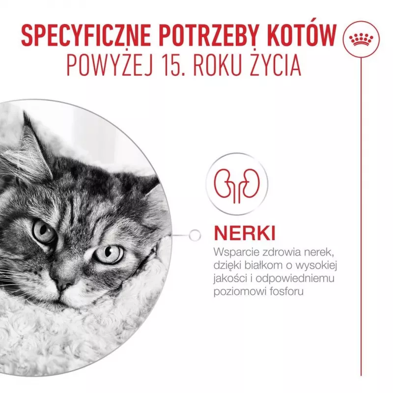 Dry cat food Royal Canin FHN Cat Ageing 15+ 2 kg — for senior cats 15 years and older, poultry flavour, 31% protein