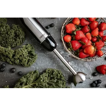 Camry CR 4615 blender Immersion blender Black,Stainless steel 700 W