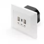 DIGITUS DA-70618 - USB-output - USB, USB Type C - 2 USB-Ports, 1 USB-C socket - 3.1 A - RAL 9003, Signal White