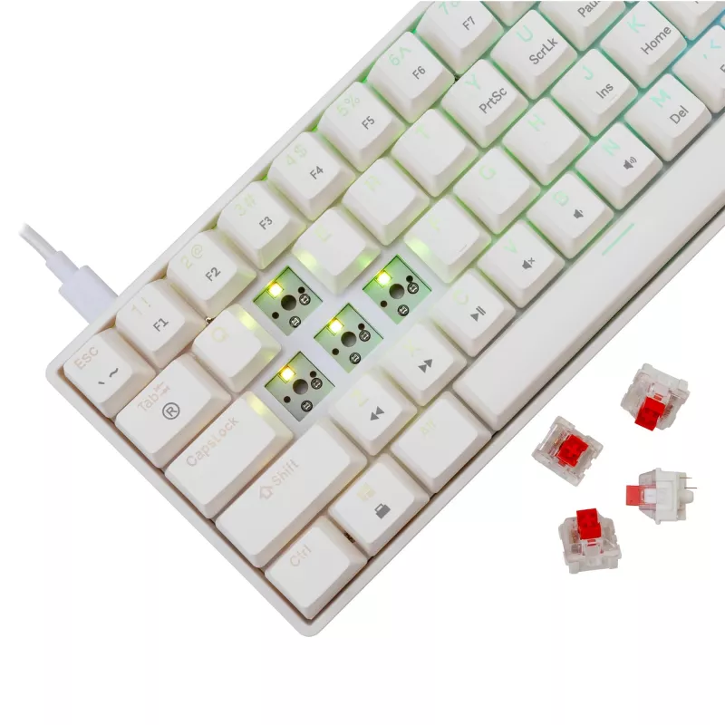 Wired mechanical keyboard White Shark Shinobi-2 (GK-004211) — US layout, Red switches, white