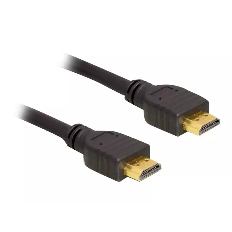 HDMI Cable DeLOCK HDMI 1.3 5m