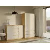 CHEST OF DRAWERS WITH 2 DOORS AND 4 DRAWERS, ARTISAN OAK/CASHMERE COLOUR