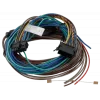 TOMTOM Webfleet I/O Cable Passthrough Thermograph - ColdChain, model 10834