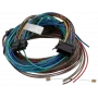 TOMTOM Webfleet I/O Cable Passthrough Thermograph - ColdChain, model 10834