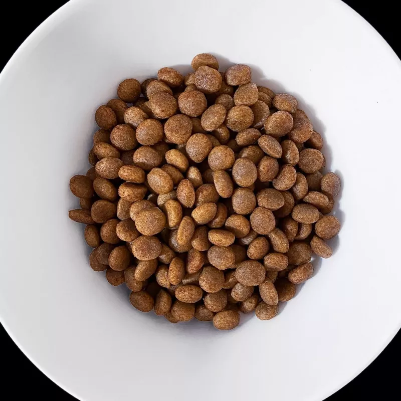 VET RESPONSE Hypoallergenic - dry dog food - 8kg
