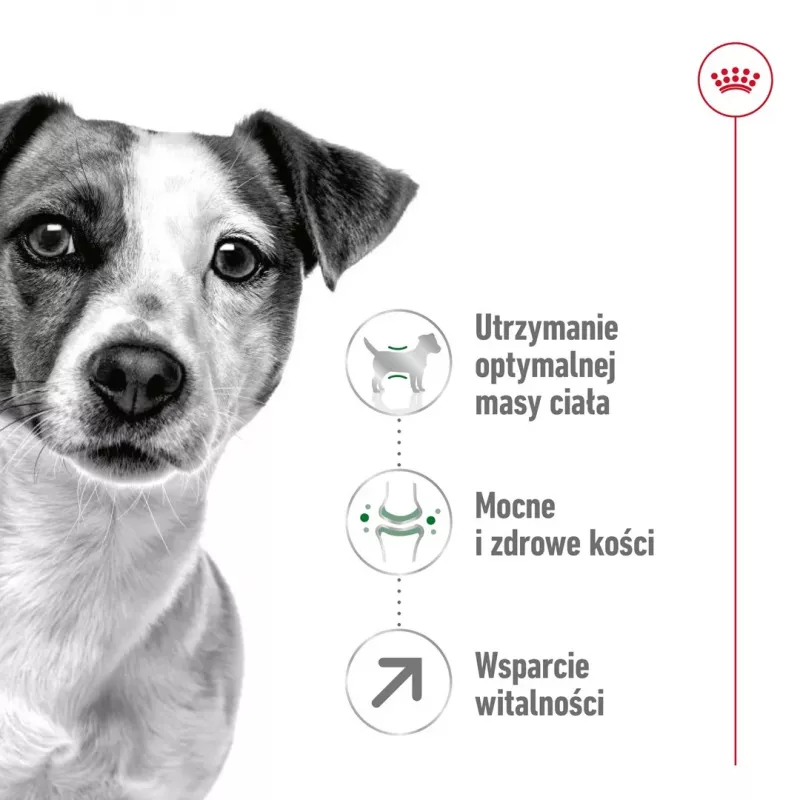Dry dog food Royal Canin Mini Adult 8+ 2 kg — small breeds 5–10 kg, poultry, weight-control formula