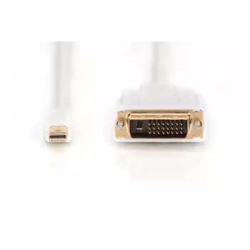 Cable DisplayPort 1.1a mini DP-DVI tyPA MM 2.0m