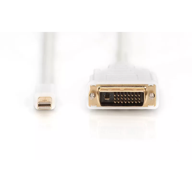 Cable DisplayPort 1.1a mini DP-DVI tyPA MM 2.0m