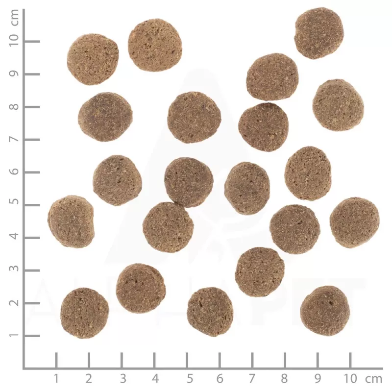 Dry dog food Wolfsblut VetLine Weight Management Turkey — 12 kg, grain-free, 22% protein, 8% fat