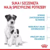Dry Dog Food Royal Canin Starter Mother & Babydog 1 kg — Chicken, 30% protein, 22% fat
