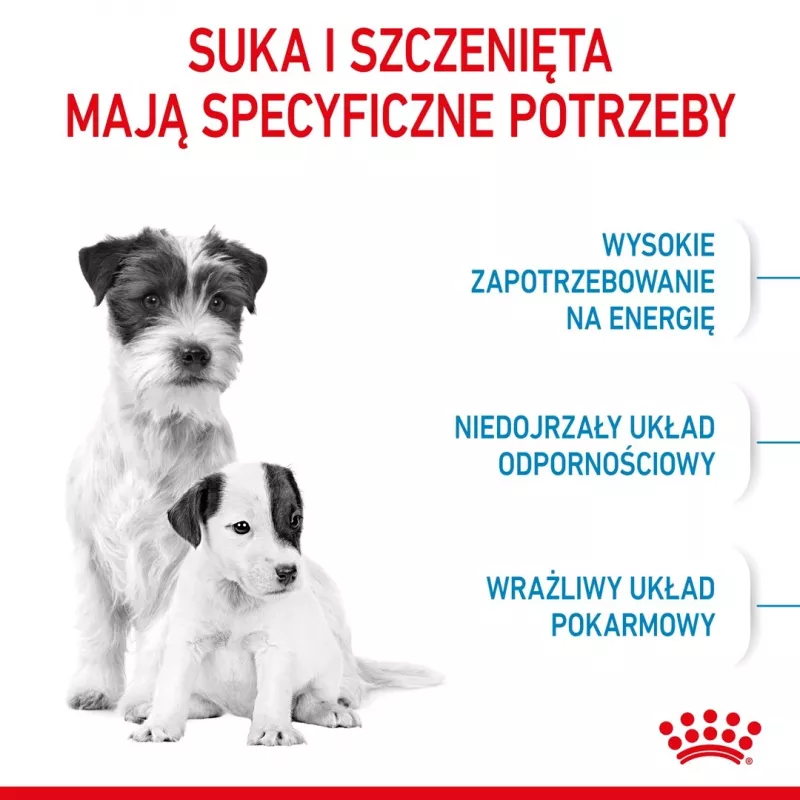Dry Dog Food Royal Canin Starter Mother & Babydog 1 kg — Chicken, 30% protein, 22% fat