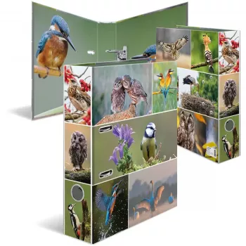 Ring binder HERMA 19254 A4 Multicolour D-ring Storage 285x315mm
