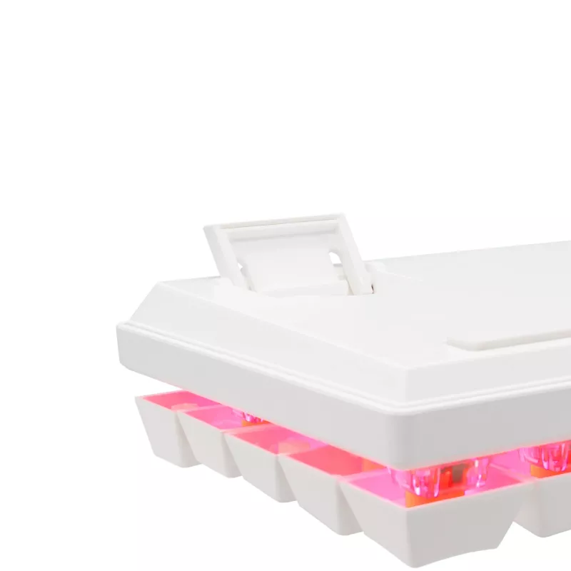 Baracuda DOLPHIN-W-RED Networking Device White