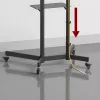 Maclean TV stand / cart, camera shelf, on wheels, 37-70, max load 45kg/5kg shelf, max. VESA 600x400, MC-113 B