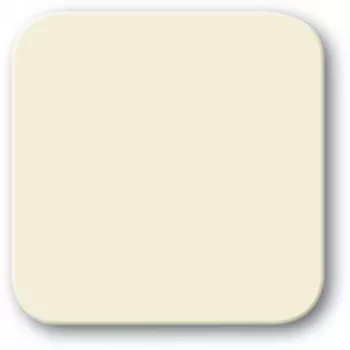 Wall plate cover Busch‑Jaeger 2506-212 Beige, screwless, 54×54 mm