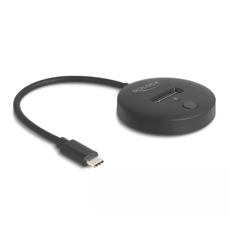 M.2 Docking Station DeLOCK 64254 USB 3.2 Gen 1 Type-C NVMe SATA