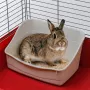 Open corner litter box FERPLAST Rabbit toilet plastic grey 370×270×185 mm for rabbits