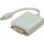 Mini Displayport/DVI Cable ShiverPeaks White