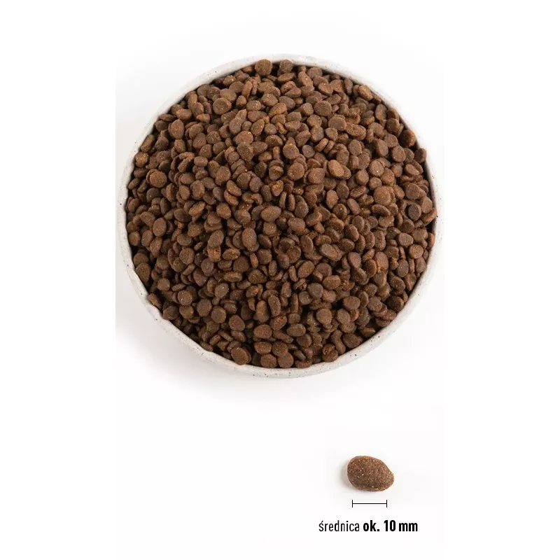 ORIJEN Regional Red Cat - dry cat food - 340 g