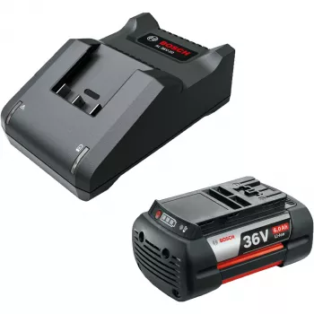 Battery starter set Bosch GBA 36V 6.0Ah with AL 36V-20 charger, black