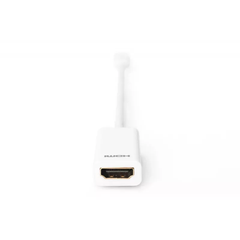 DisplayPort Adapter Digitus AK-340404-001-W