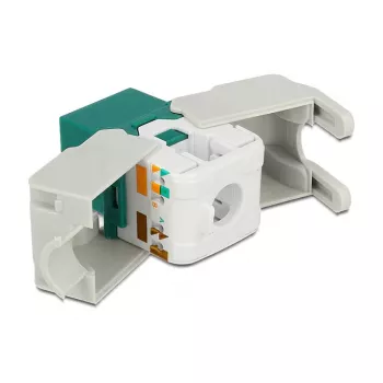 Keystone Module DeLOCK 86349