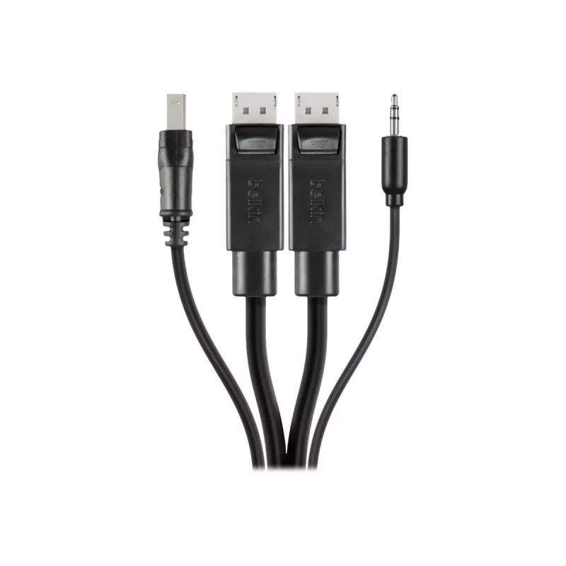 Belkin Secure KVM Combo Cable - Tastatur- / Video- / Maus- / Audio-Kabel - USB, Mini-Stecker, DisplayPort (M) bis Stereo Mini-Klinkenstecker, USB Typ 