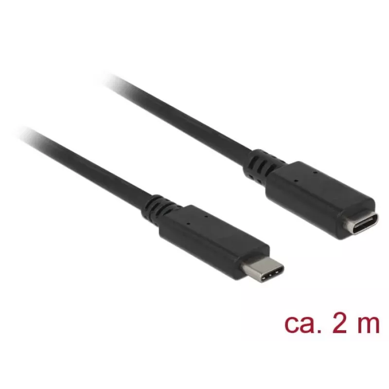 USB Cable DeLOCK SuperSpeed USB 3.2 Gen 1 2m USB C Black