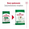 Dry dog food Royal Canin Adult Mini S 8 kg — complete nutrition for small adult dogs