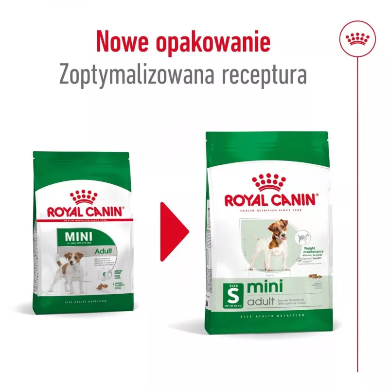 Dry dog food Royal Canin Adult Mini S 8 kg — complete nutrition for small adult dogs