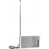 Panasonic RF-P150DEG Portable Analog Silver
