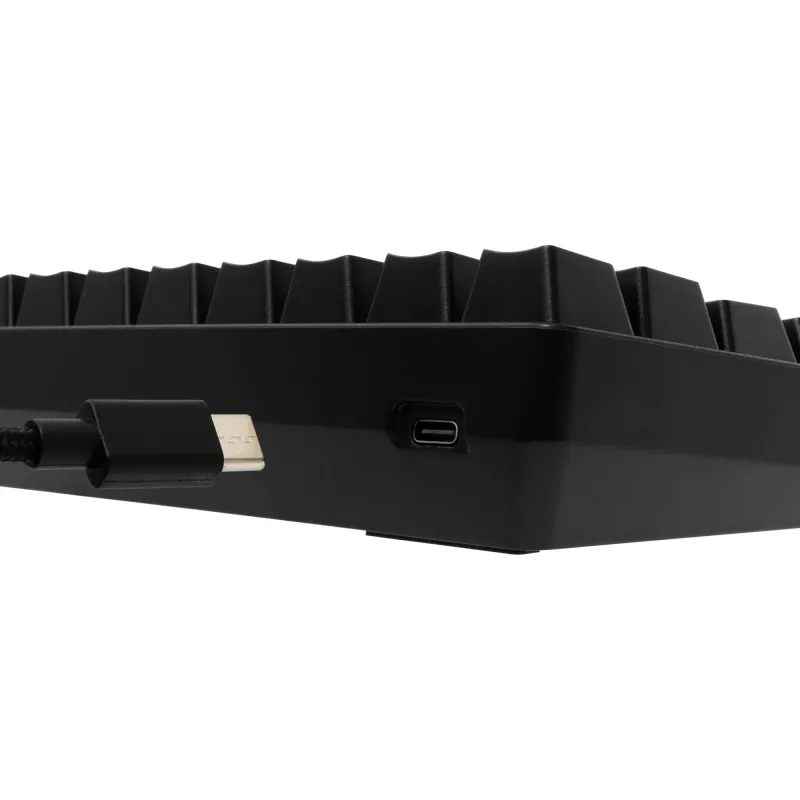 Mechanical keyboard White Shark GK-005121 with RGB lighting and Blue switches