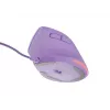NATEC Crake 2 Pro mouse Universal Right-hand USB Type-A Optical 12800 DPI
