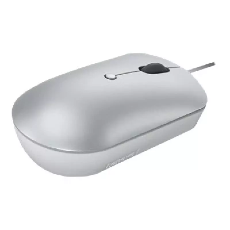 Wired optical ambidextrous mouse Lenovo 540 USB Type-C, 3 DPI modes, grey, 4 buttons, 1.8 m cable