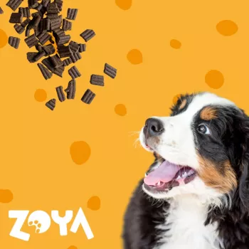 Dry dog food ZOYA ColdPRO Lamb 3 kg — complete adult kibble, 26% protein, 9.5% fat