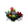Lego Icons 10309 Succulents