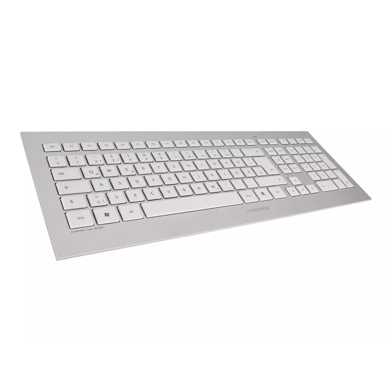 CHERRY DW 8000 keyboard Mouse included Office RF Wireless French Silver, White