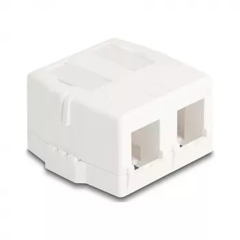 Snap-in frame DeLOCK 85843 Plastic White 545x573x324 mm