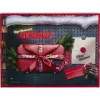 Advent calendar Gedore R33003151 2025 — tool-themed calendar, limited-edition set