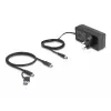 USB Hub Delock 64248 5 Gbps 2 x Type-A 2 x Type-C 1 Fast Charge Port