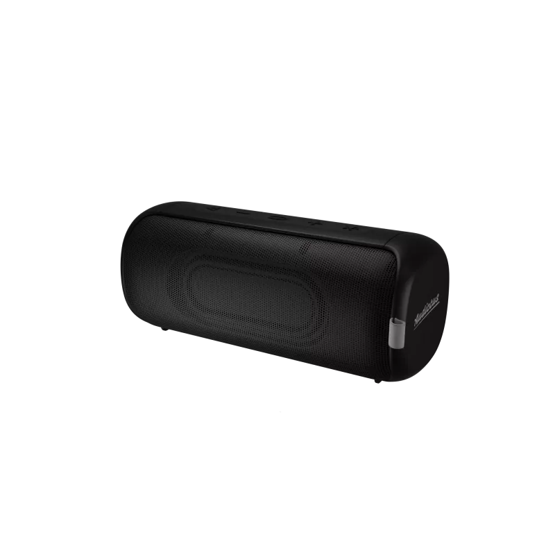 Stereo portable speaker Audictus Aurora Pro 20 W