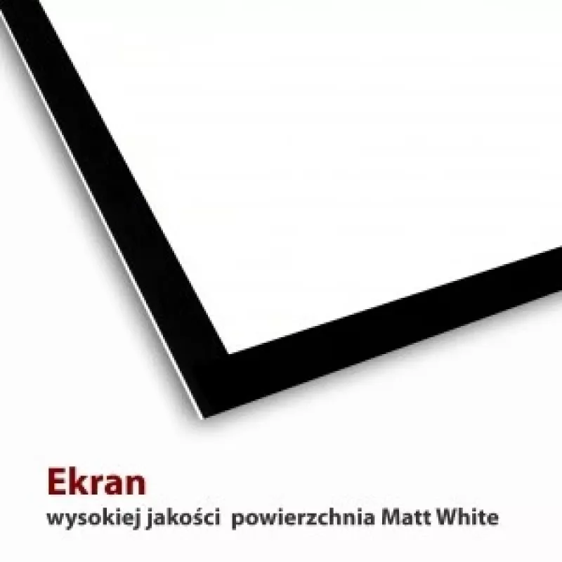 Projection Screen ART EL F100 4:3