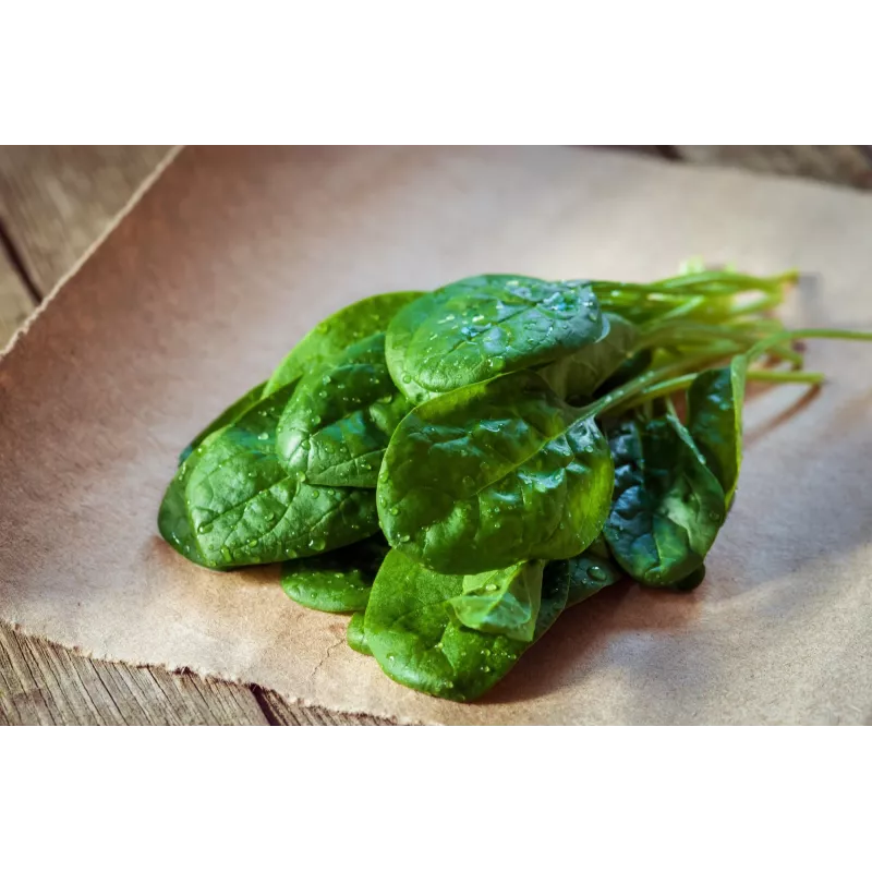 New Zealand Spinach Toraf Vegetable Seeds, 5g Package