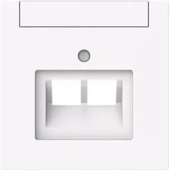 BUSCH-JAEGER 1803-02-44G Zentralscheibe 2-fach UAE Beschriftungsf (2CKA001710A4227)