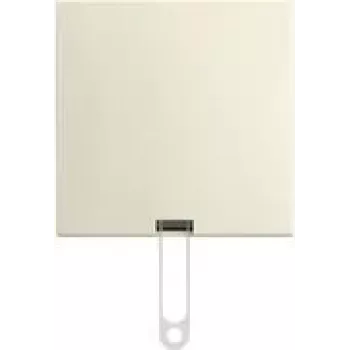 BUSCH JAEGER Pull Switch AP 2610/6 J-522 (2TKA00005520)