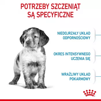 Dry Dog Food Royal Canin Medium Puppy 4 kg — for medium breeds 10–25 kg, protein 32%, fat 20%, chicken